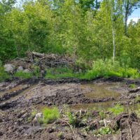 IMG_20220611_164620019_HDR