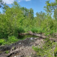 IMG_20220611_164640984_HDR