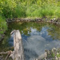 IMG_20220611_164656835_HDR