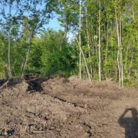 IMG_20220723_184131990_HDR