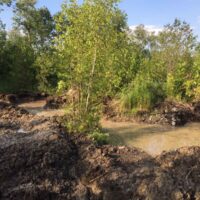 signal-2022-07-28-09-39-41-000